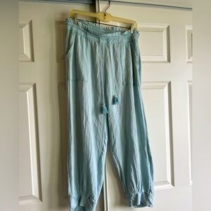 Anthropologie Sky Blue Joggers with Tassels